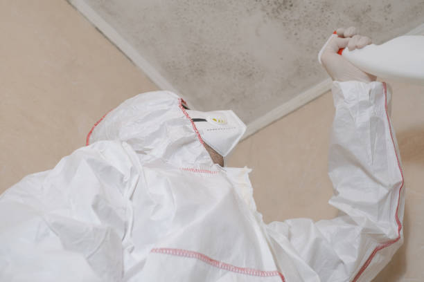 Best Mold Removal Process  in , AR